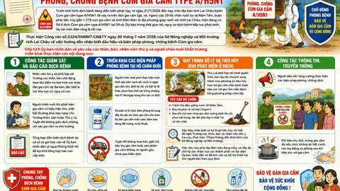 UBND xã Sìn Hồ triển khai các biện pháp phòng, chống bệnh cúm gia cầm type A/H5N1