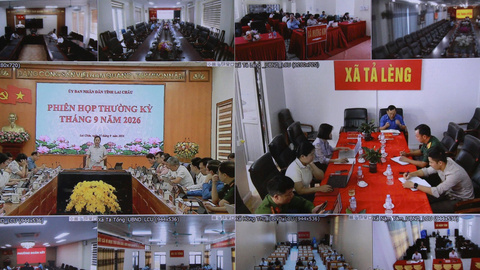 Phiên họp trực tuyến UBND tỉnh thường kỳ tháng 9/2026