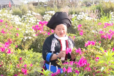 Sà Dề Phìn thu hút du khách dịp đầu năm mới