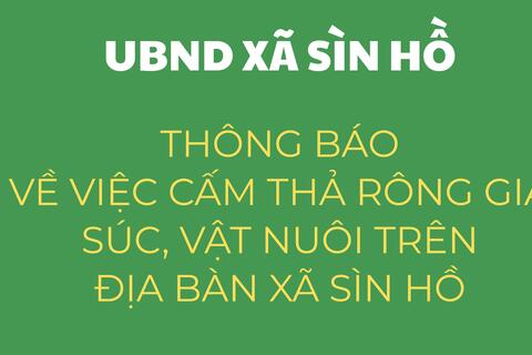 Thông báo: Về việc cấm thả rông gia súc, vật nuôi trên địa bàn xã Sìn Hồ