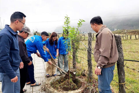 Tuổi trẻ Sìn Hồ phát huy vai trò xung kích, tình nguyện hướng về cộng đồng