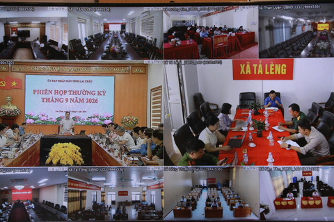 Phiên họp trực tuyến UBND tỉnh thường kỳ tháng 9/2026