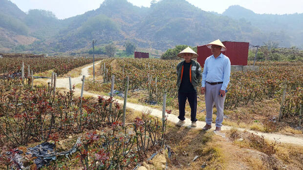 UBND xã Sìn Hồ làm việc với các hộ dân thuê đất trồng hoa hồng, trồng rau về nguyên nhân làm ảnh hưởng đến môi trường theo phản ánh của nhân dân
